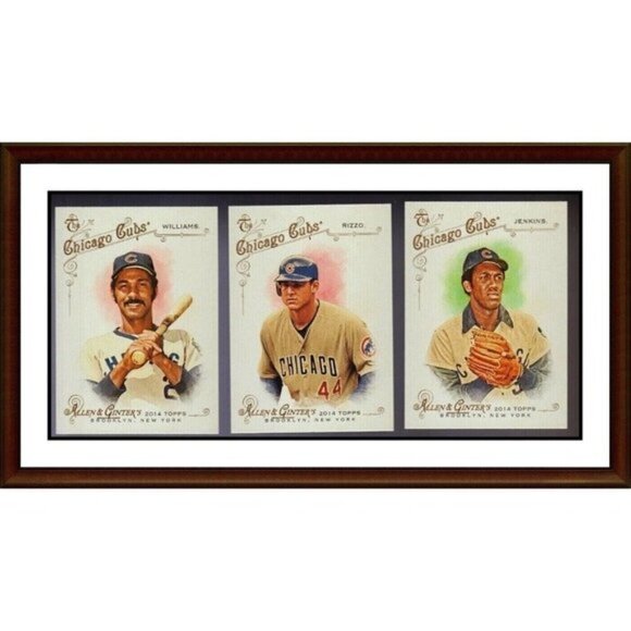 2014 Topps Allen & Ginter Chicago Cubs 8 Card Team Set Banks Sandberg Dawson - Picture 2 of 3